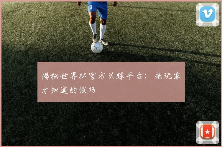 揭秘世界杯官方买球平台：老玩家才知道的技巧